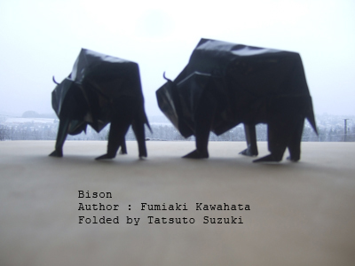 Photo Origami Bison, Author : Fumiaki Kawahata, Folded by Tatsuto Suzuki